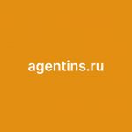 agentins.ru